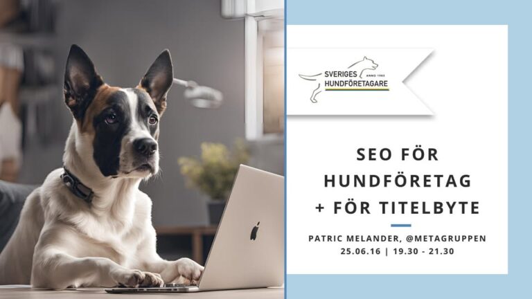 250616 – SEO för hundföretag