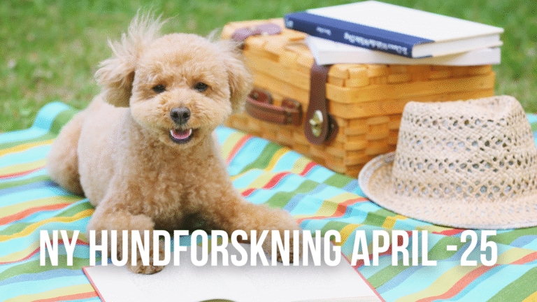 250515 Ny Hundforskning April 2025